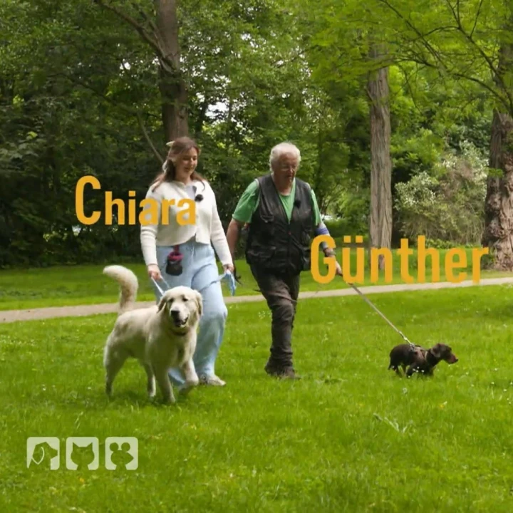 FotoJet (46) FotoJet (46)