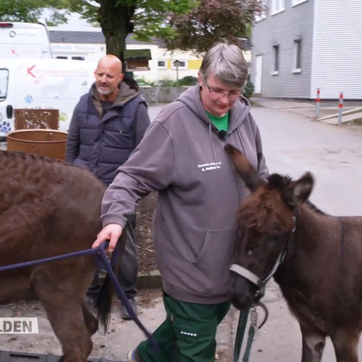 FotoJet - 2025-12-18T152822.097