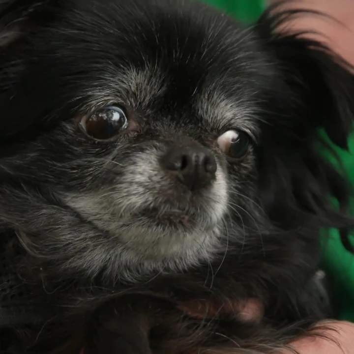 FotoJet - 2025-12-19T092546.823