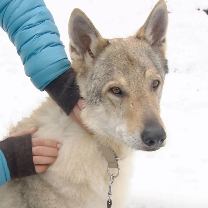 FotoJet - 2025-12-19T131911.908