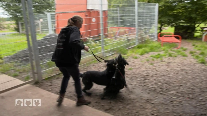 bild (18)