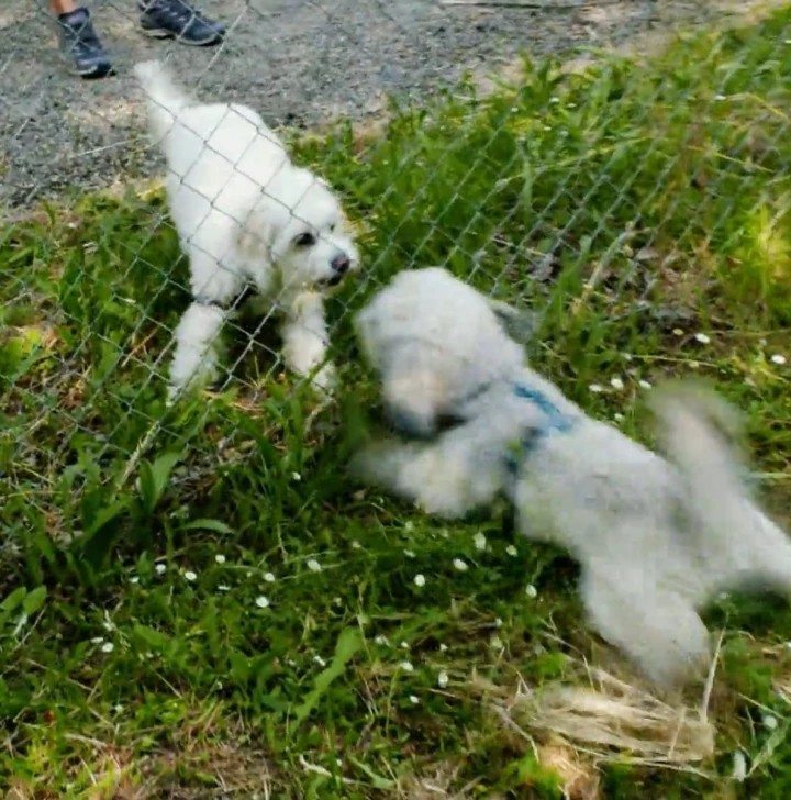 FotoJet (40) FotoJet (40)