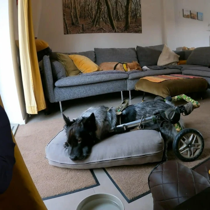 FotoJet