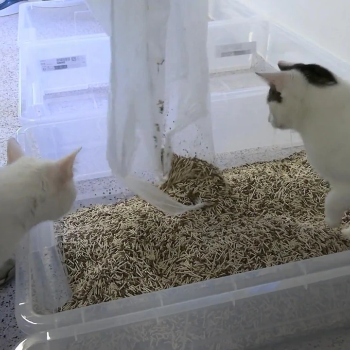 FotoJet (48) FotoJet (48)