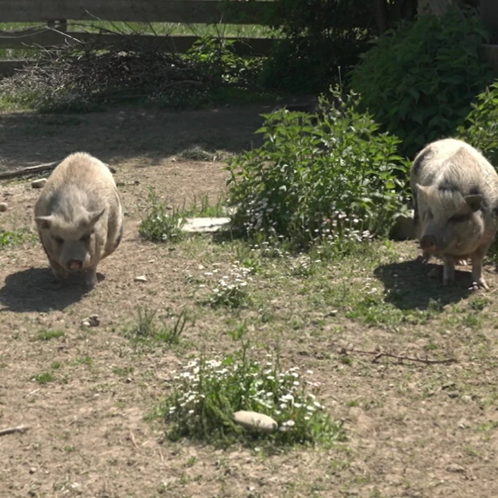 KoelnNews_326249408_6283