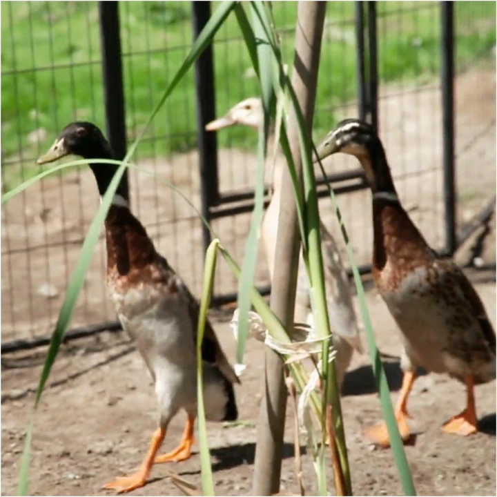 FotoJet (62) FotoJet (62)