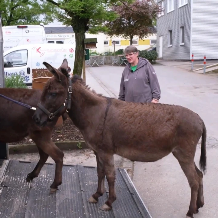 FotoJet - 2025-12-18T151351.644