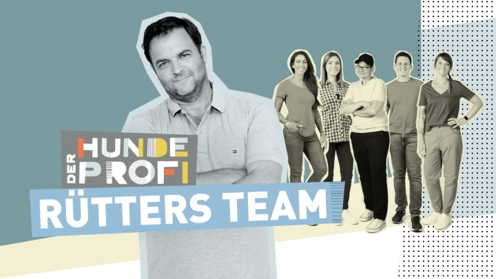 Hundeprofi_Ruetter_team_Staffel5 Hundeprofi_Ruetter_team_Staffel5