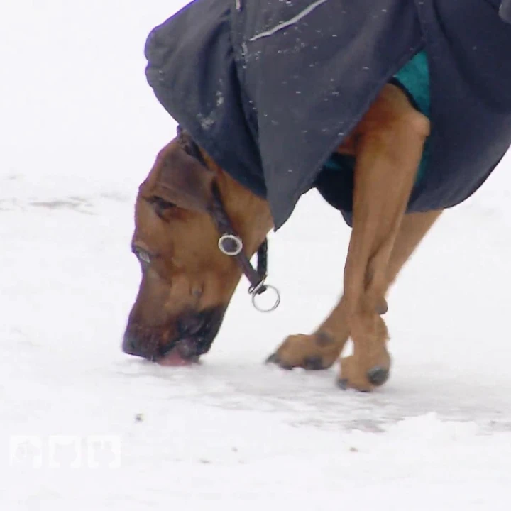 FotoJet - 2025-12-19T131614.601