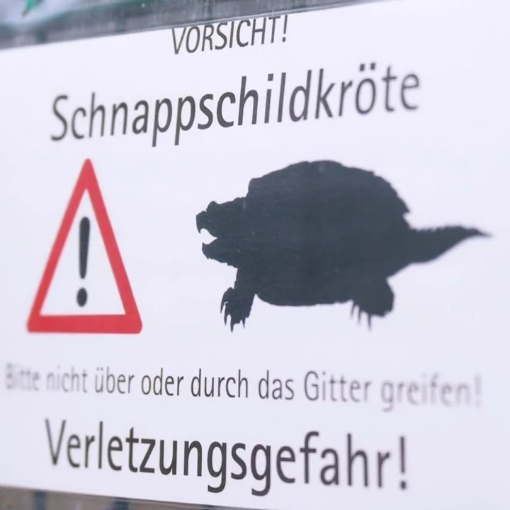 FotoJet - 2025-12-22T111201.709