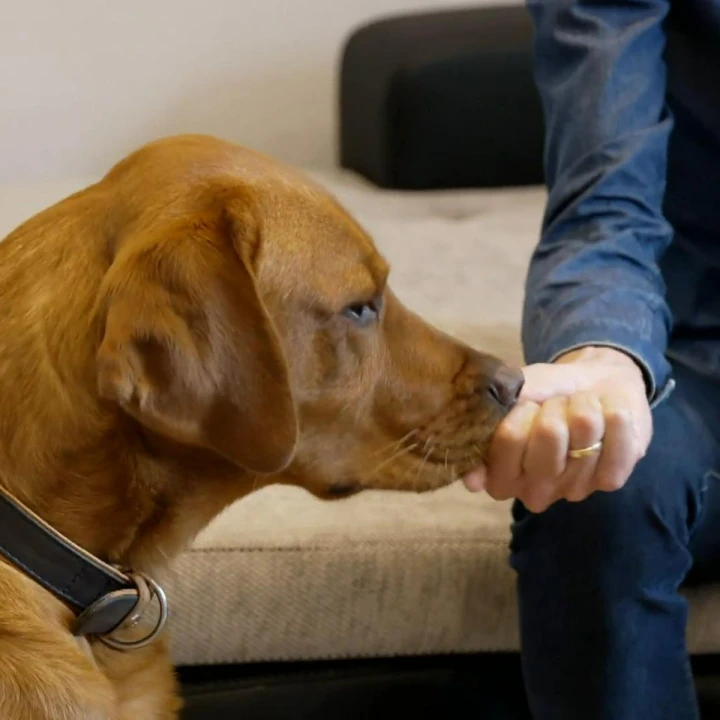 FotoJet (46) FotoJet (46)