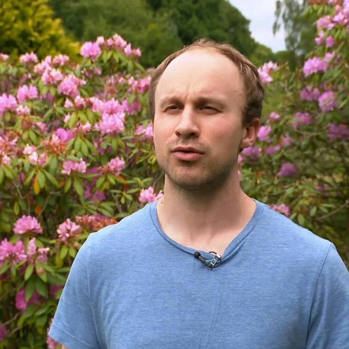 FotoJet (31) FotoJet (31)