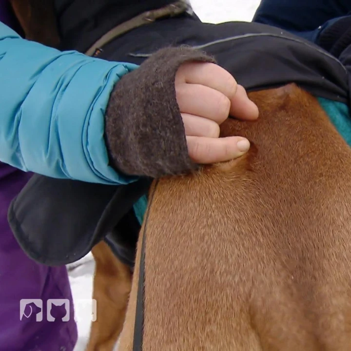 FotoJet - 2025-12-19T131926.300