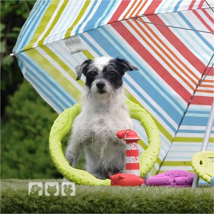 FotoJet - 2025-07-18T115337.309