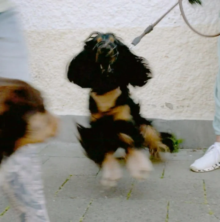 FotoJet (38) FotoJet (38)