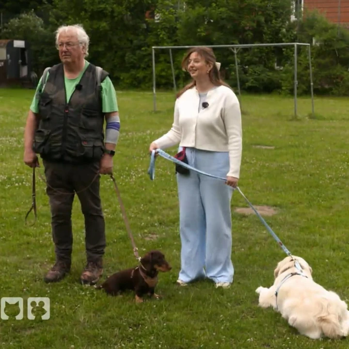 FotoJet (47) FotoJet (47)