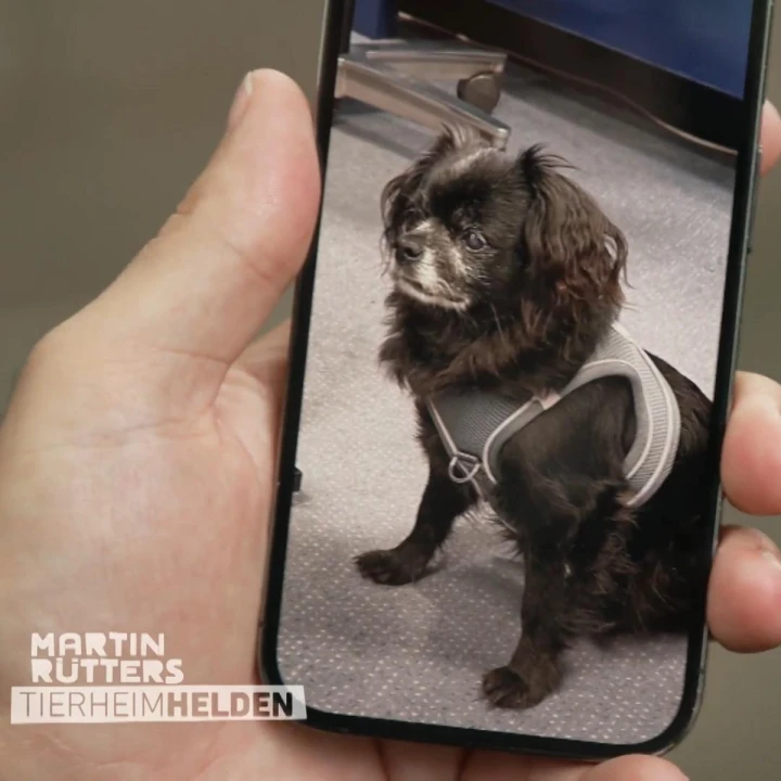 FotoJet - 2025-12-19T092529.294