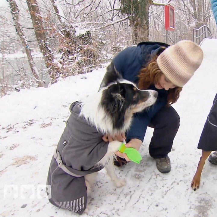 FotoJet - 2025-12-19T131745.268