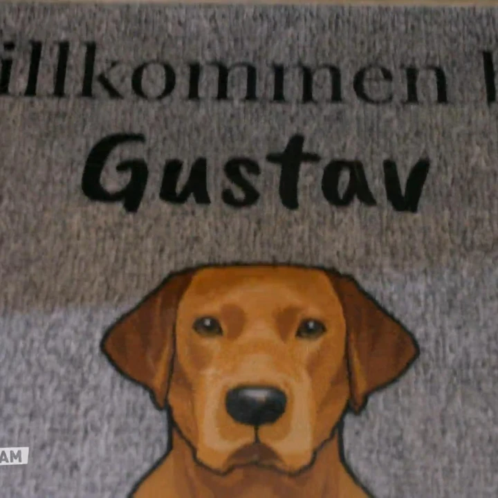 FotoJet (41) FotoJet (41)