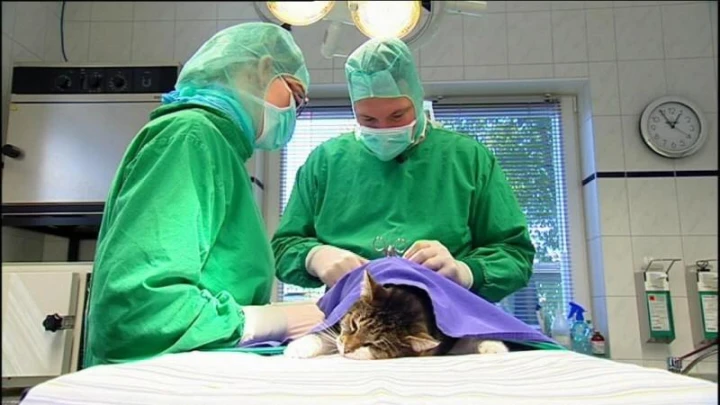 Sendung: Menschen, Tiere & Doktoren