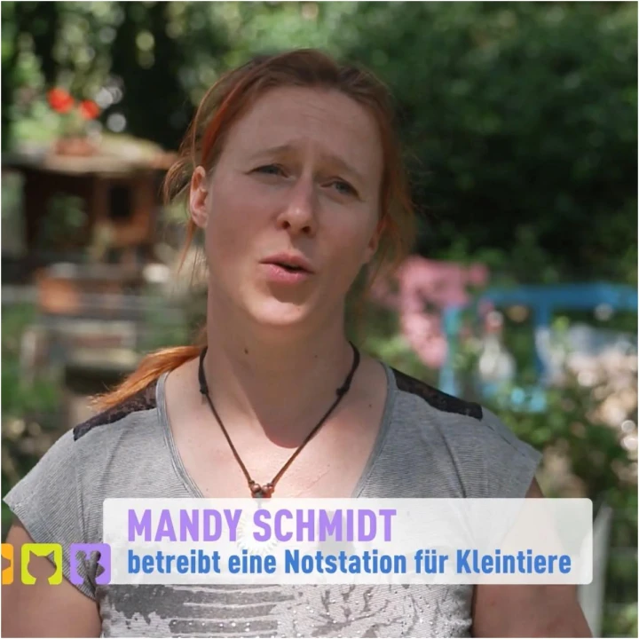 FotoJet (65) FotoJet (65)