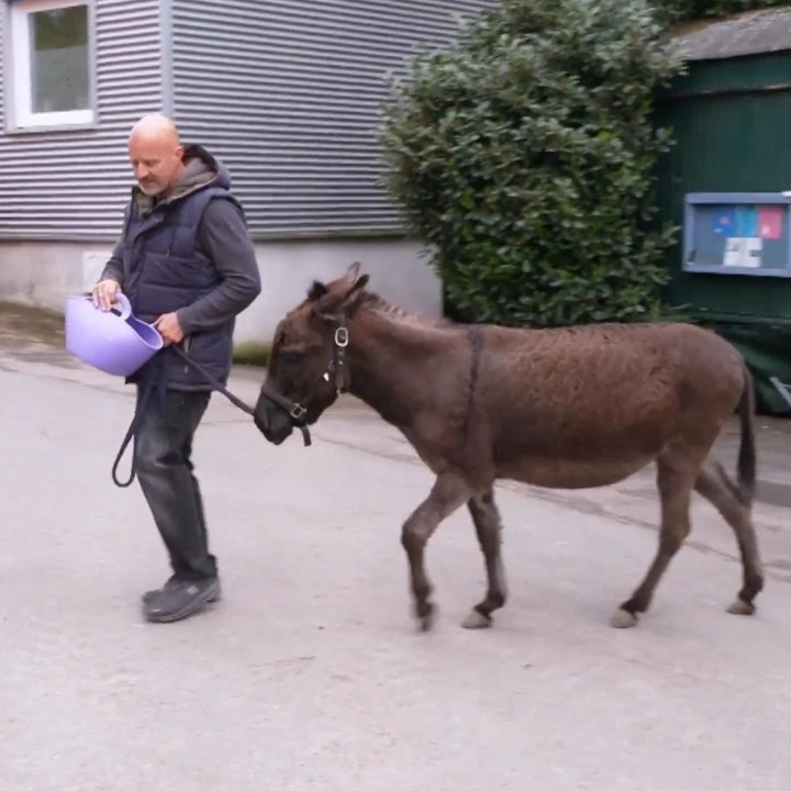 FotoJet - 2025-12-18T151411.637