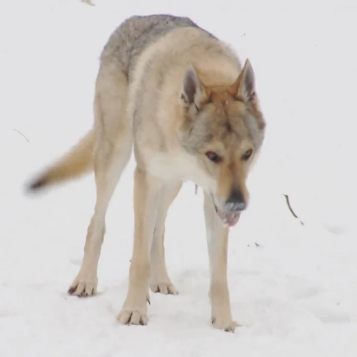 FotoJet - 2025-12-19T131710.467