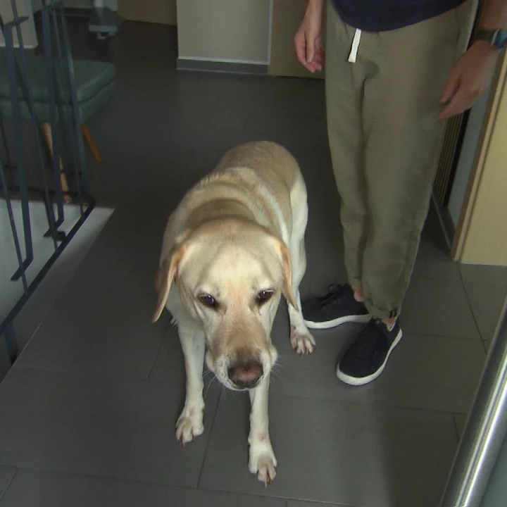 KoelnNews_332365013_7085