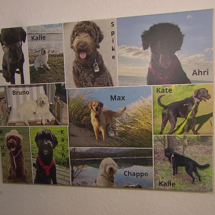 KoelnNews_335199840_6816