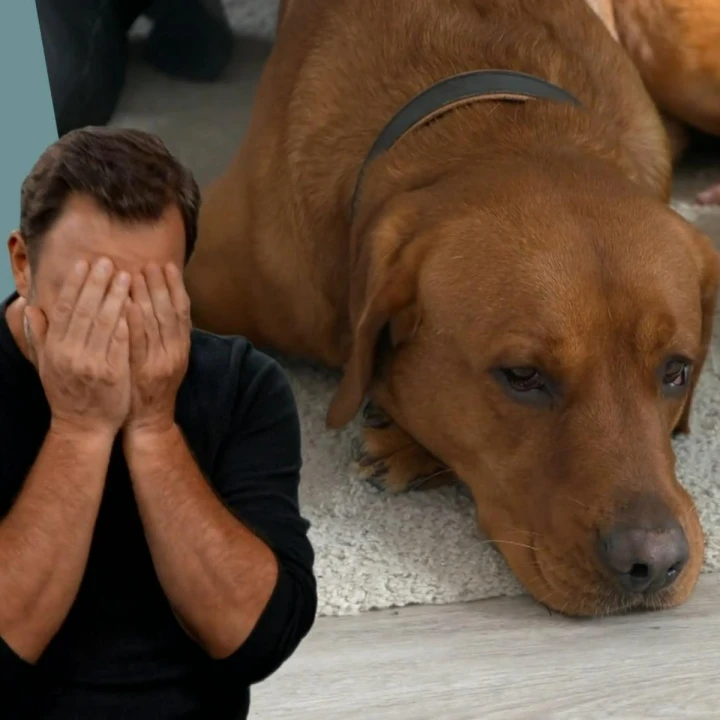 FotoJet (42) FotoJet (42)