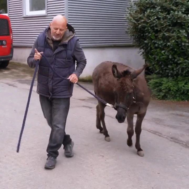 FotoJet - 2025-12-18T152843.260