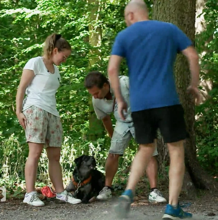 FotoJet (39) FotoJet (39)