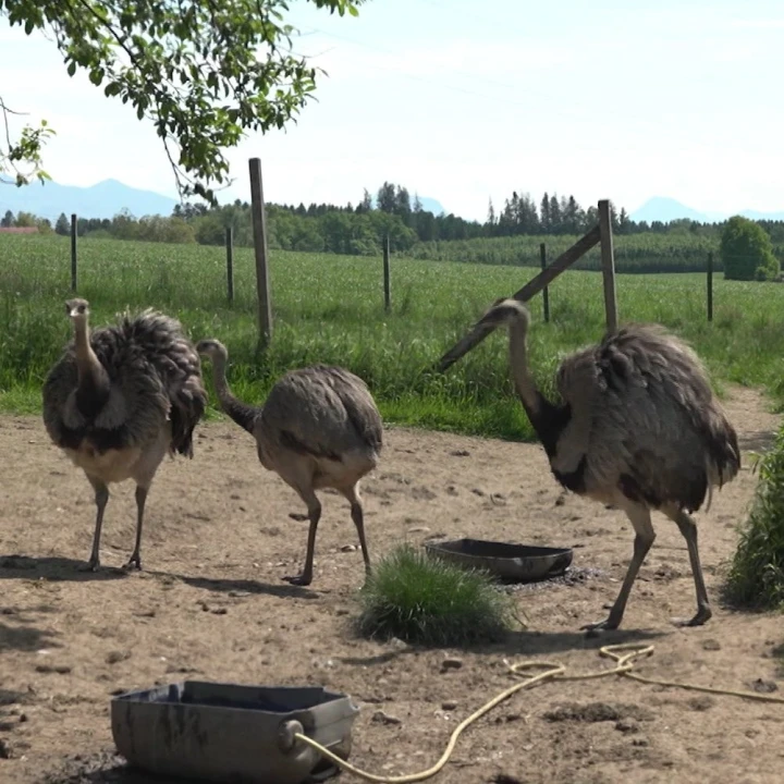 KoelnNews_326249408_6188