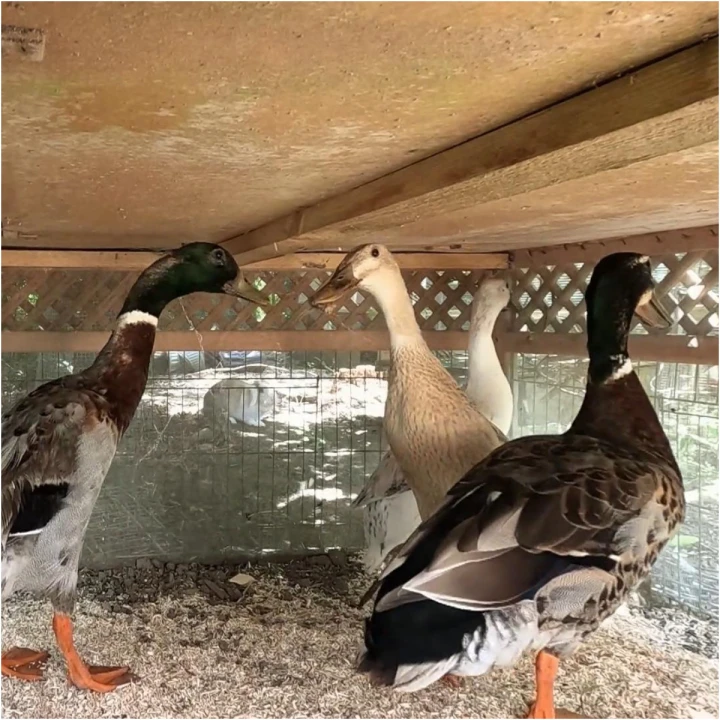 FotoJet (67) FotoJet (67)