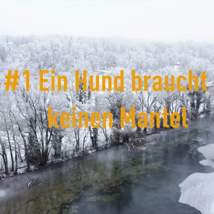 FotoJet - 2025-12-19T131852.685