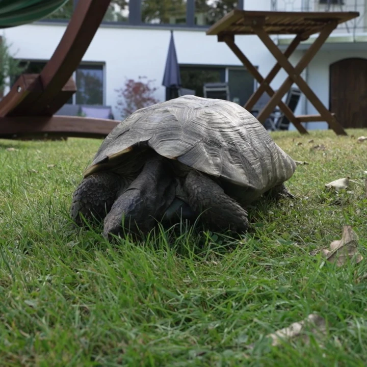 KoelnNews_332365013_9200