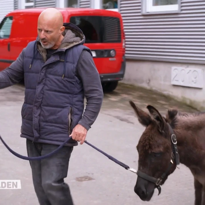 FotoJet - 2025-12-18T151538.189