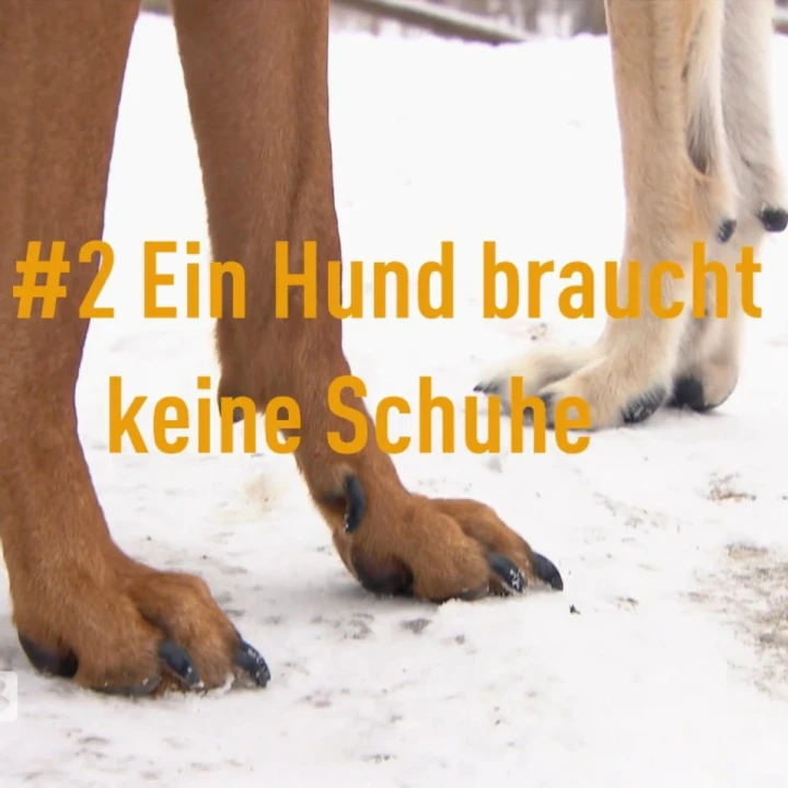 FotoJet - 2025-12-19T131818.576