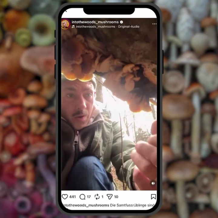 FotoJet - 2026-03-05T131235.152