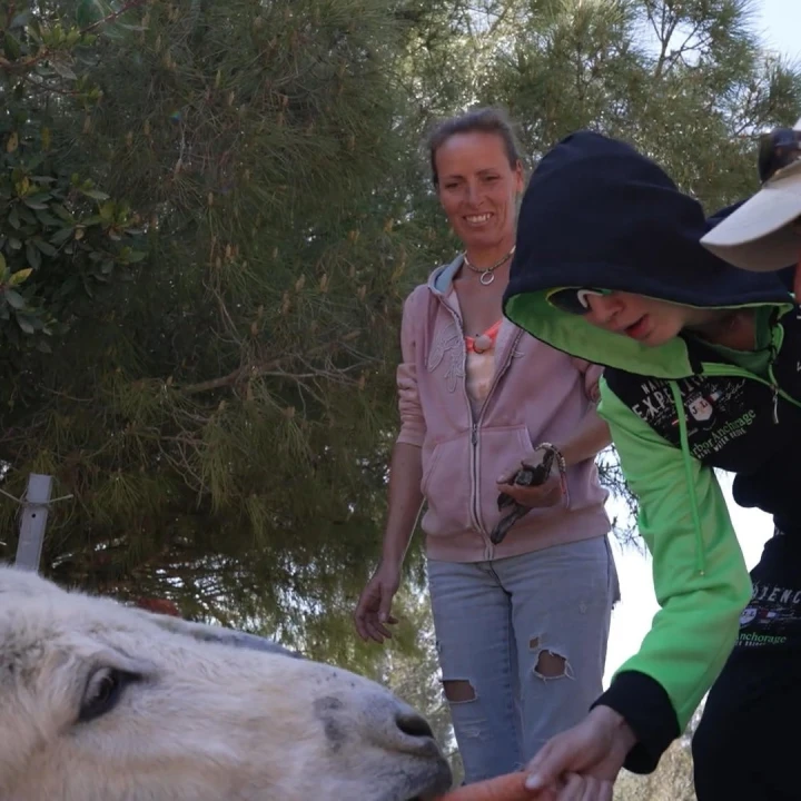 bild - 2026-04-23T103712.990