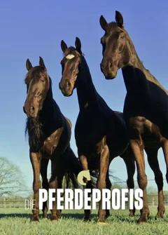 Die Pferdeprofis